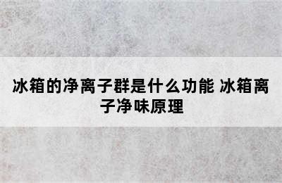 冰箱的净离子群是什么功能 冰箱离子净味原理